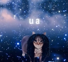 All The Stars