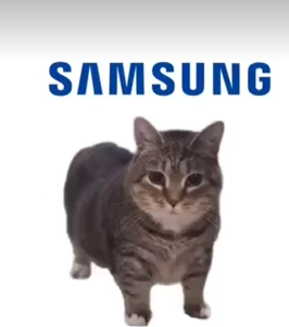 Samsung Ringtone